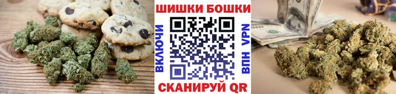 Купить закладки  Инза  Canna-Cookies марихуана 