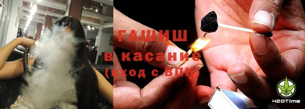 сатива Карпинск