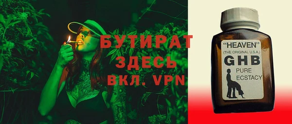 сатива Карпинск