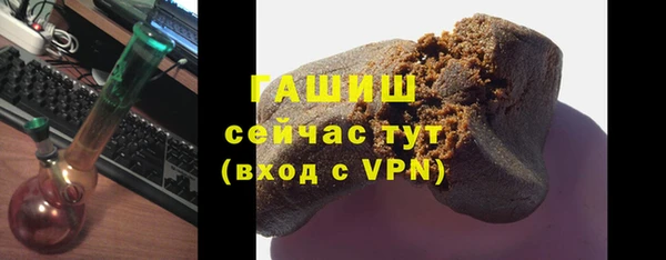 сатива Карпинск
