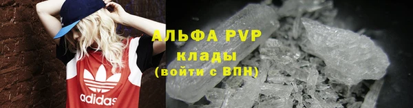 сатива Карпинск