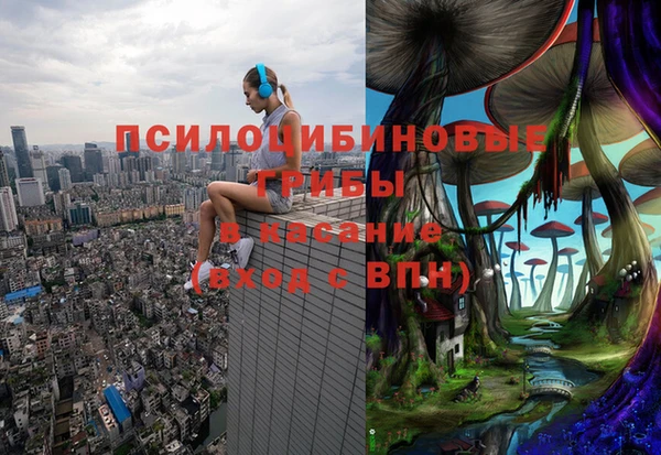 сатива Карпинск
