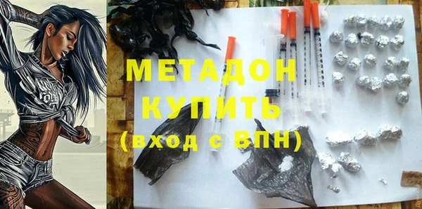 сатива Карпинск