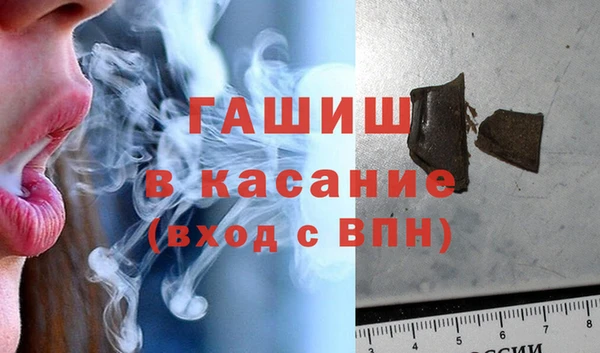 сатива Карпинск