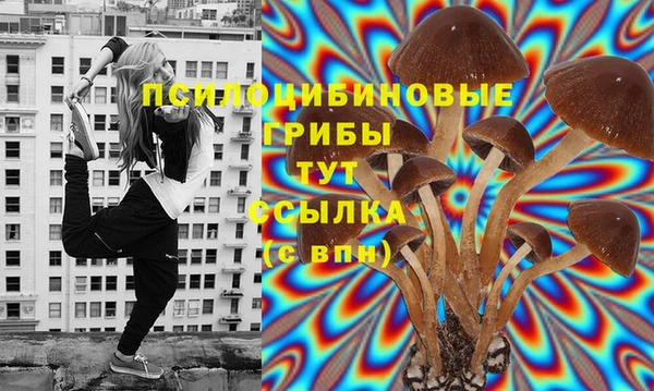 МДПВ Карталы