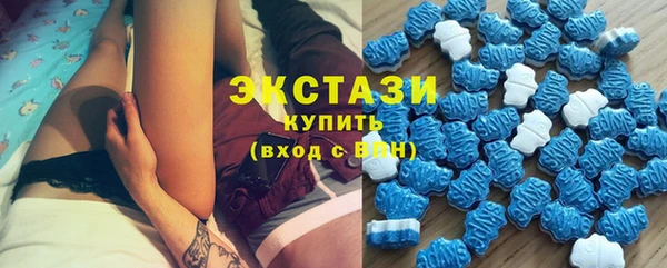 сатива Карпинск