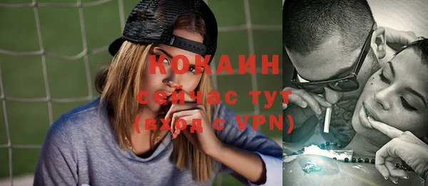 сатива Карпинск